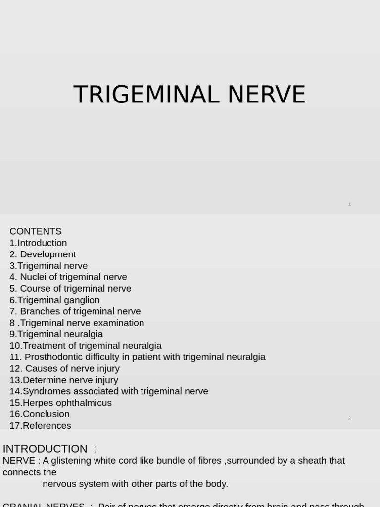 Trigeminal Nerve: Anatomy and Functions | PDF | Human Nose | Nervous System
