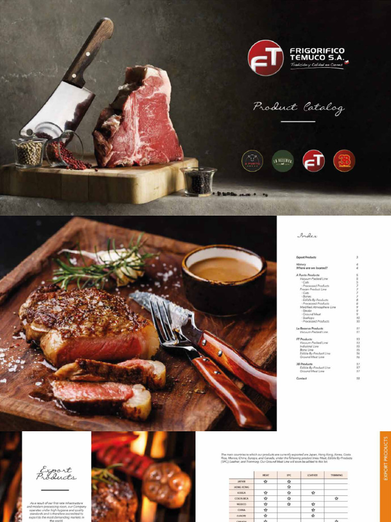 Brochure Frigorifico Temuco 2020 Final | PDF