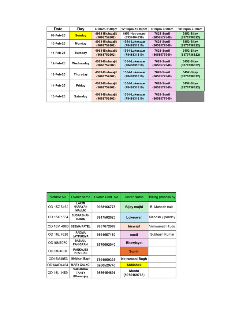 Rota Schedule for February 2025 | PDF