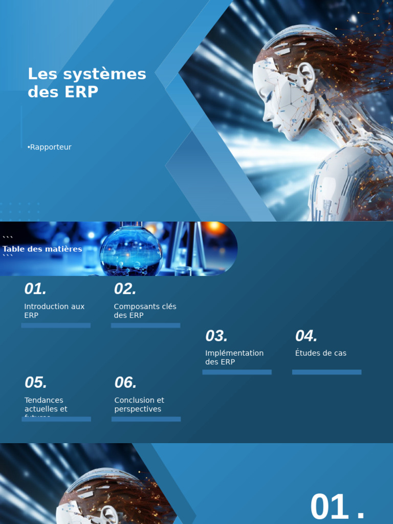 Guide complet sur les systèmes ERP | PDF | Progiciel de gestion intégré ...