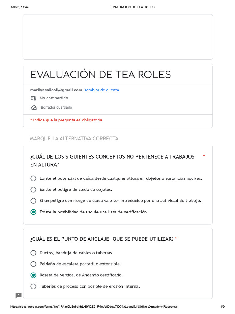 Evaluación de Roles en Trabajos en Altura | PDF