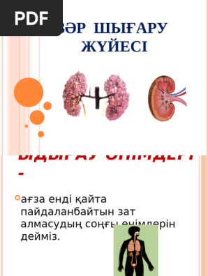 Леонид Зрумов порнографиялық фильм түсіріп жатқан.