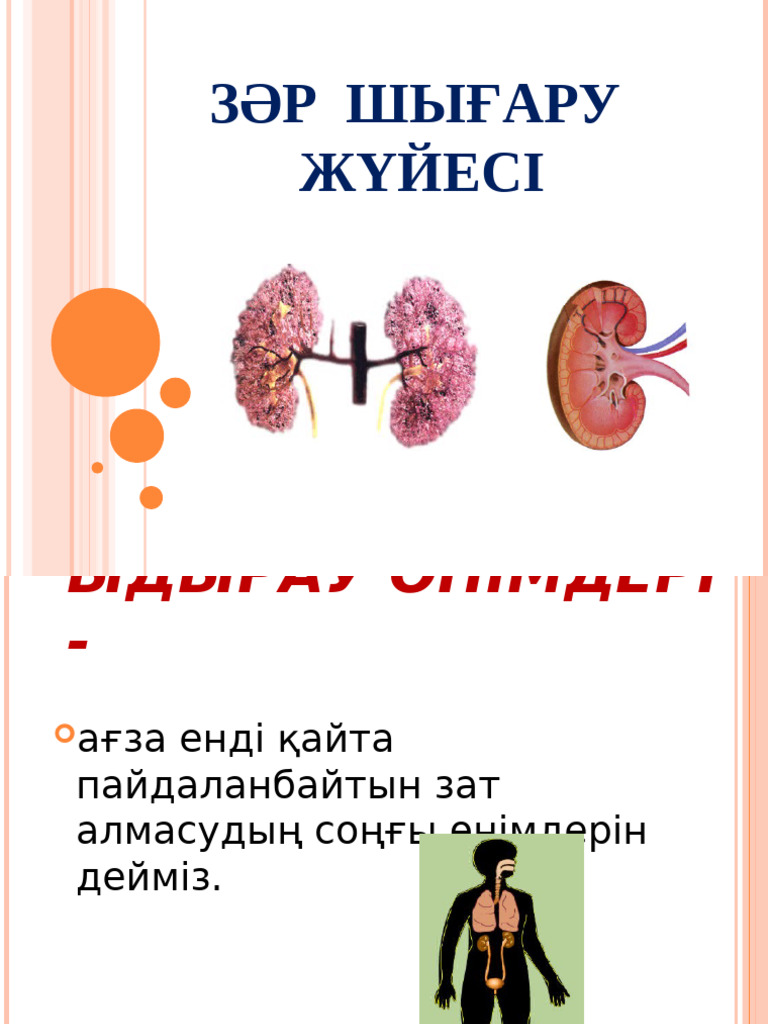 Қырылмаған адамның жеке суреті