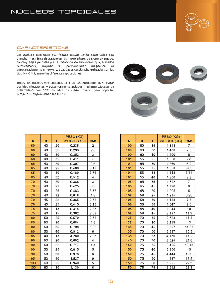 nucleos-toroidales-pdf