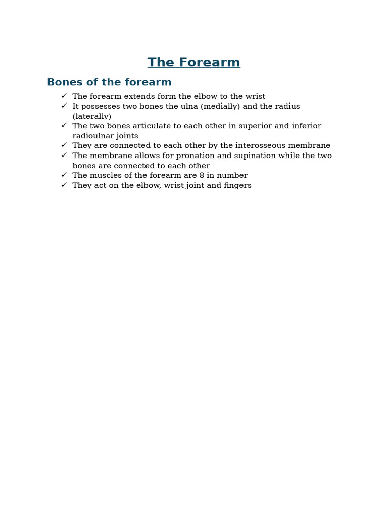 Forearm Anatomy and Muscle Overview | PDF