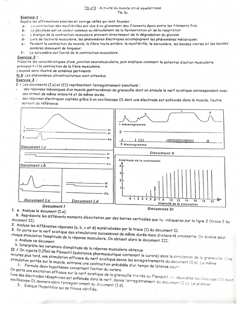 ACE Scanner - 2025 - 01 - 06 | PDF