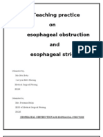 Esophageal Stricture and Obstruction