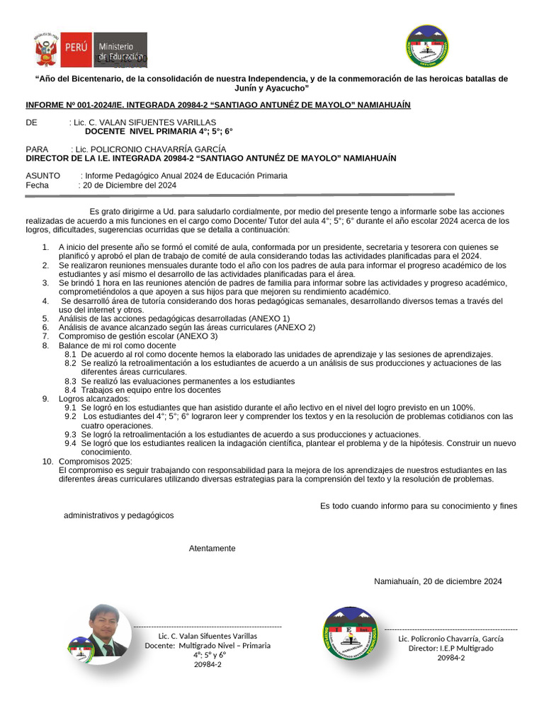 Informe Anual 2024 de Educación Primaria | PDF | Aprendizaje | Evaluación