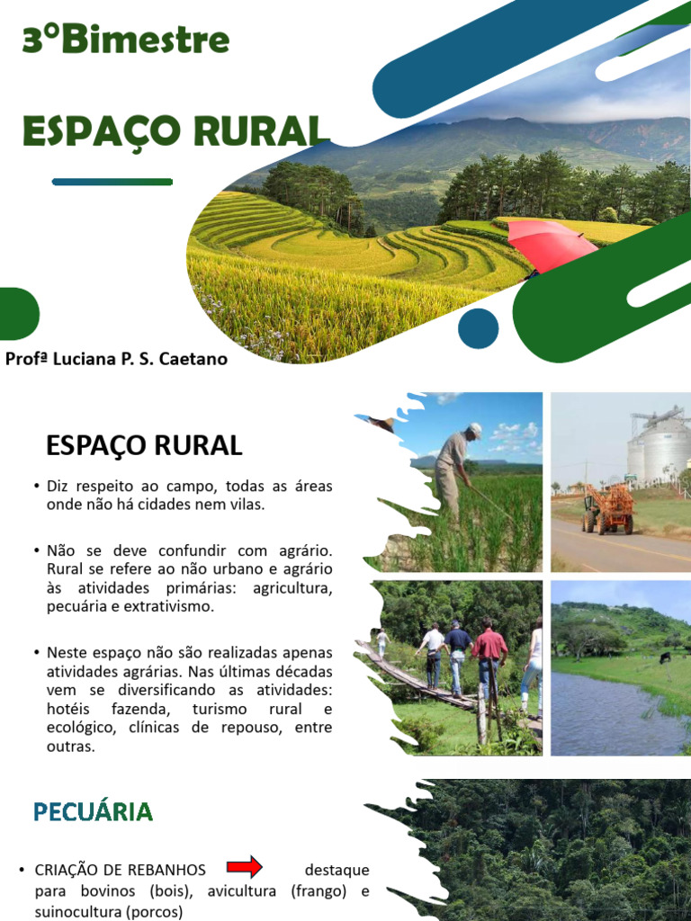 Características do Espaço Rural e Pecuária | PDF | Agricultura | Pesticida