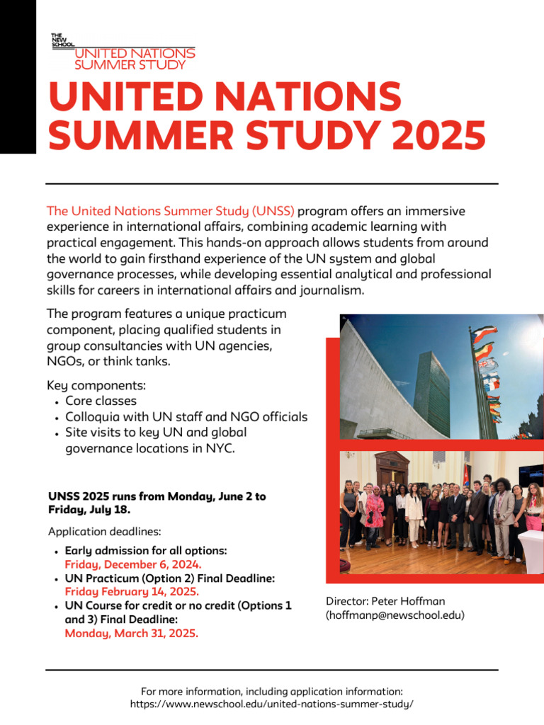 UN Summer Study Program Overview | PDF
