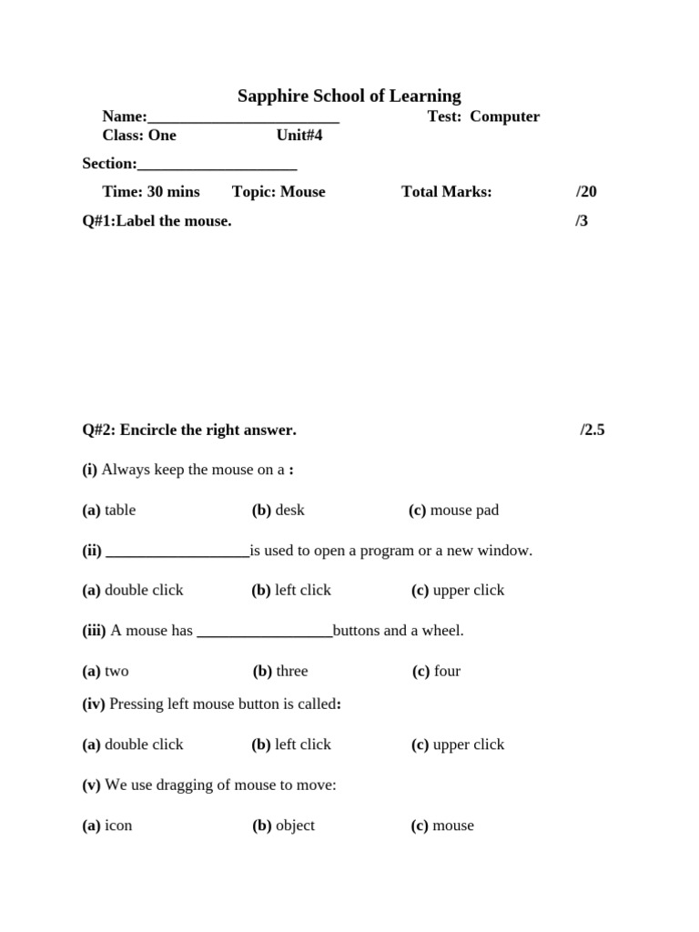 Computer Mouse Test for Class One | PDF | Double Click | Software