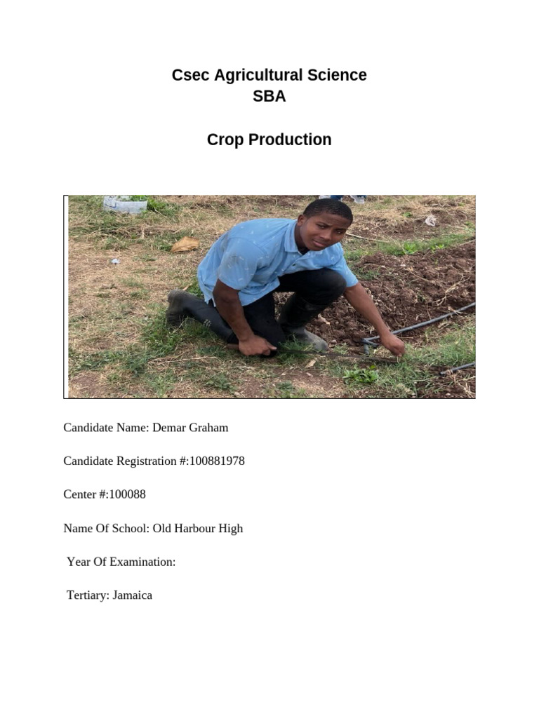 Demar Graham | PDF | Soil | Mulch