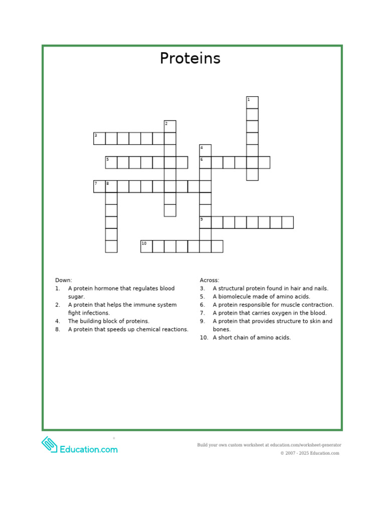 Protein Crossword PDF