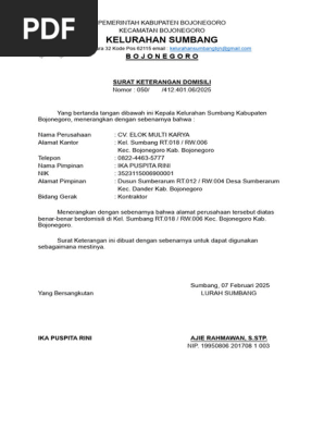 Qizil sochli mushukning yaqindan olingan surati