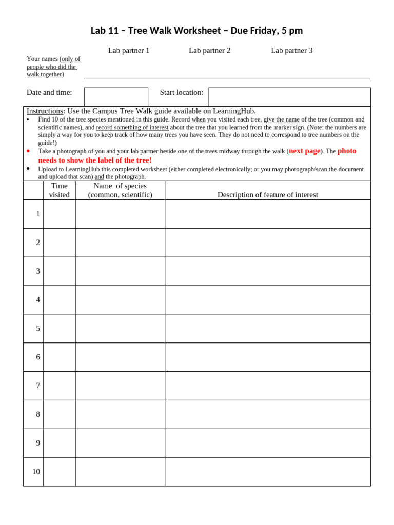 Tree Walk Worksheet Submission Guide | PDF