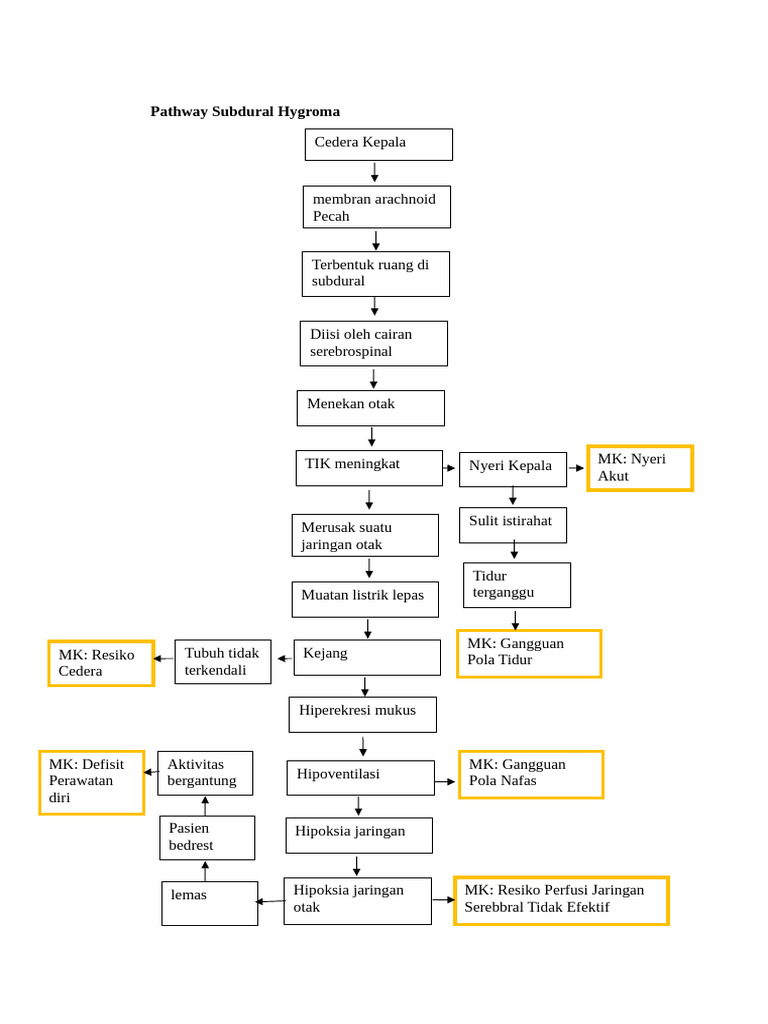 Pathway Subdural Hygroma | PDF