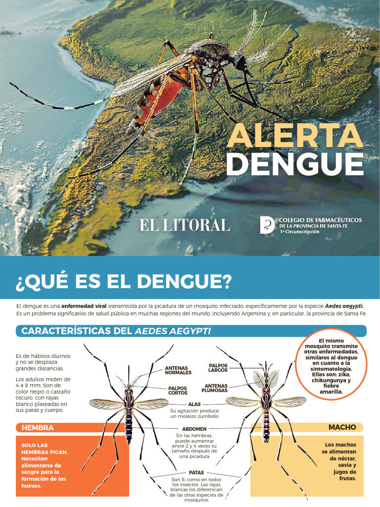 Prevención y Control del Dengue 2024 | PDF | Mosquito | Aedes aegypti