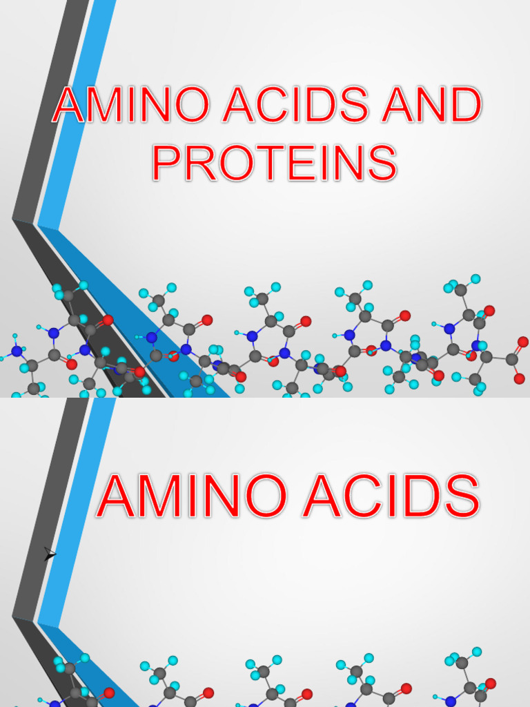 Understanding Amino Acids and Proteins | PDF | Amino Acid | Proteins