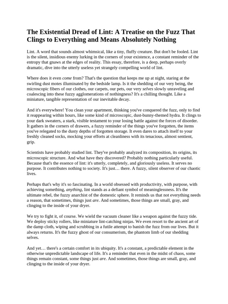 The Existential Dread of Lint PDF