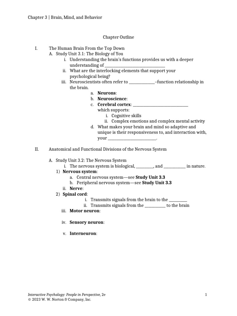 Brain and Nervous System Overview | PDF | Neurotransmitter | Action ...