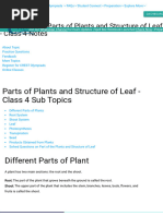 Parts and Functions of Plants for Class 4 | PDF | Leaf | Root