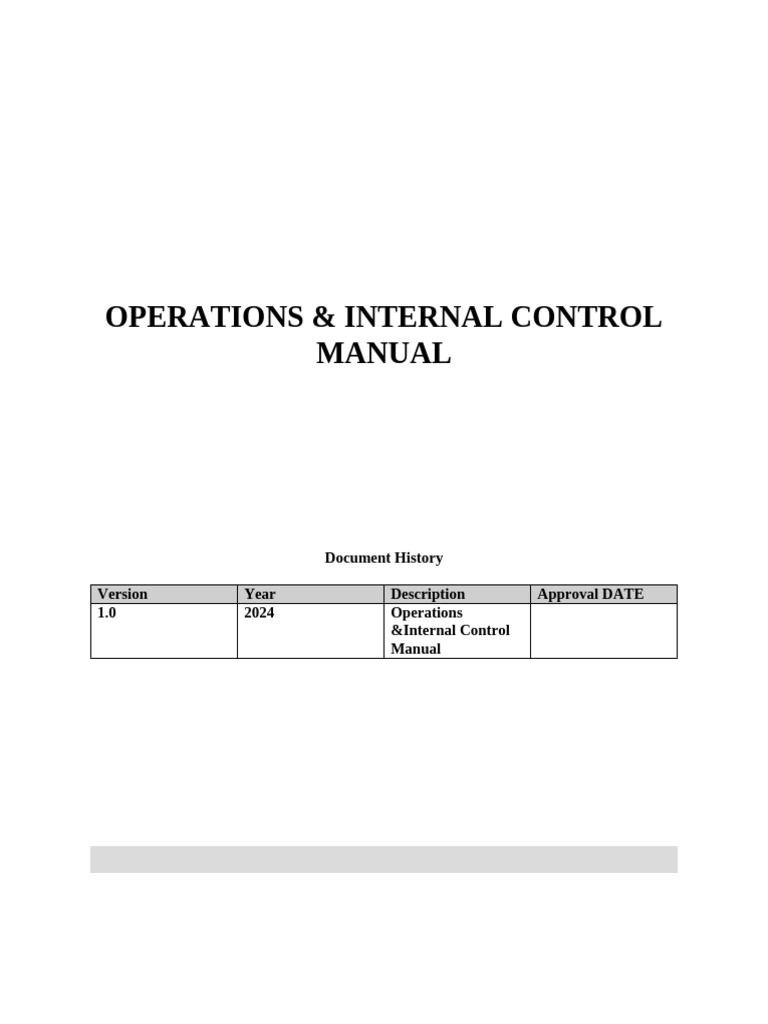 Operation & Internal Control Draft | PDF | Debt | Credit