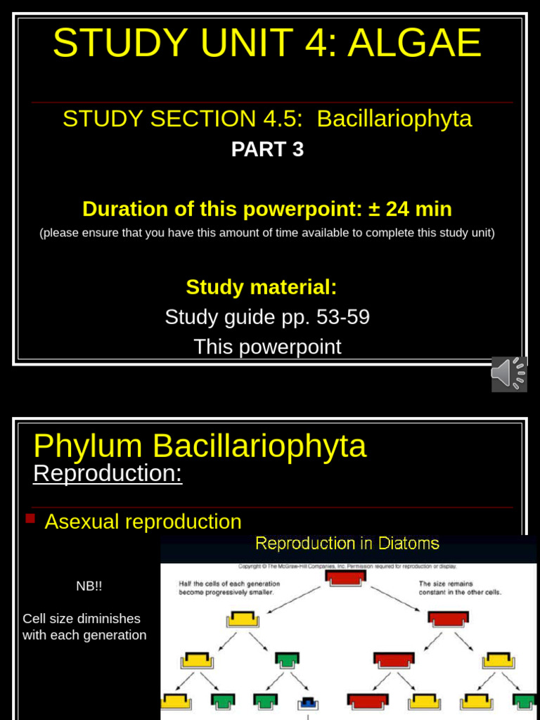 SS4.5_Bacillariophyta+Part+3_VO | PDF | Branches Of Botany | Zoology