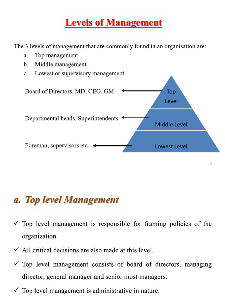 Levels of Management | PDF