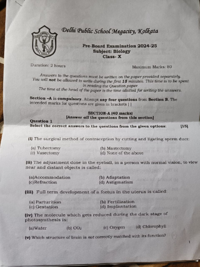 Bio DPS | PDF