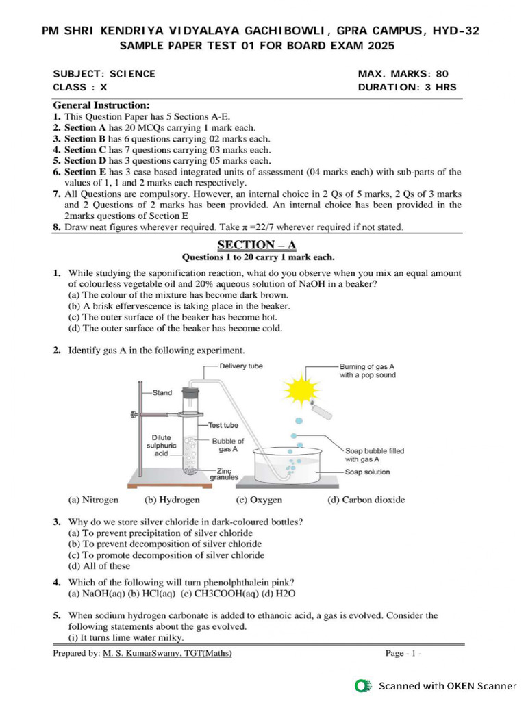 Science Sample Paper Practice - Compressed | PDF | Salt (Chemistry ...