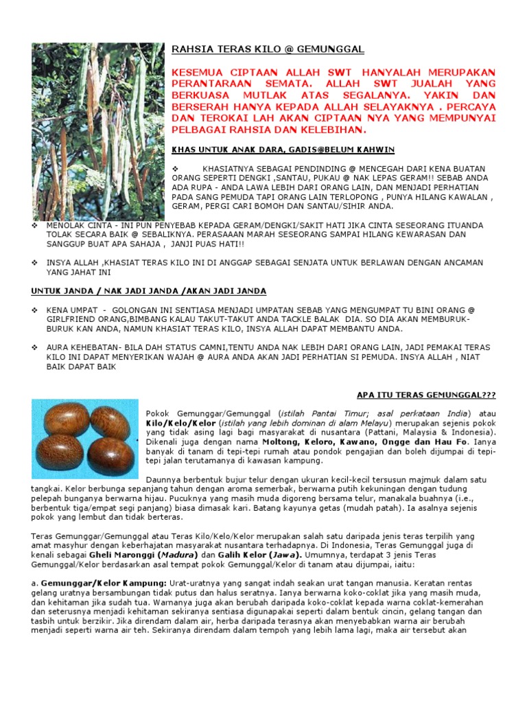 Rahsia Teras Kilo Pdf