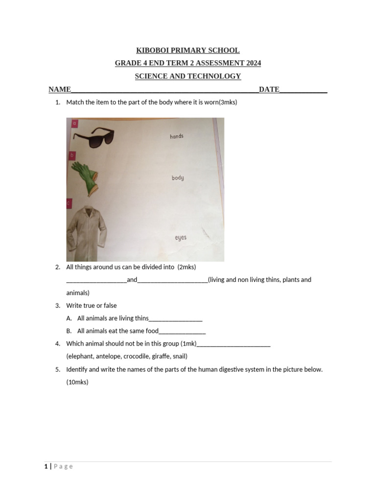 Grade 4 Science Assessment 2024 | PDF