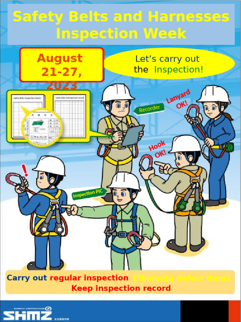 Safety Belts Inspection Week Guide | PDF