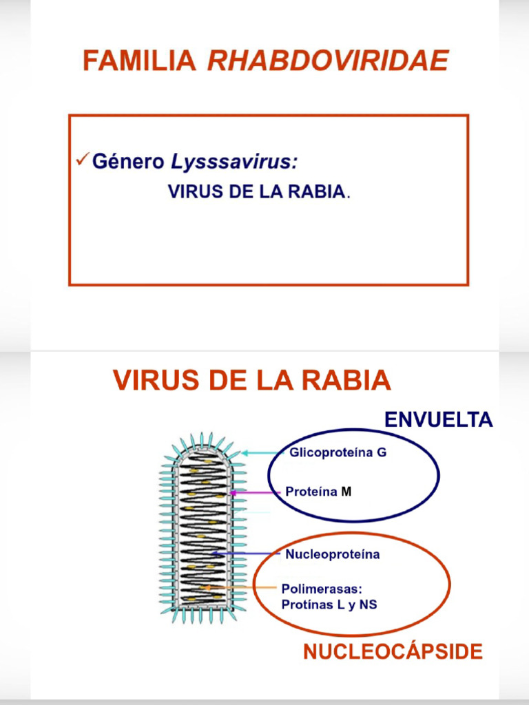 V. Rabia | PDF