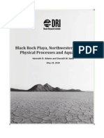 Black Rock Playa DRI Report - Physical Processes and Aquatic Life