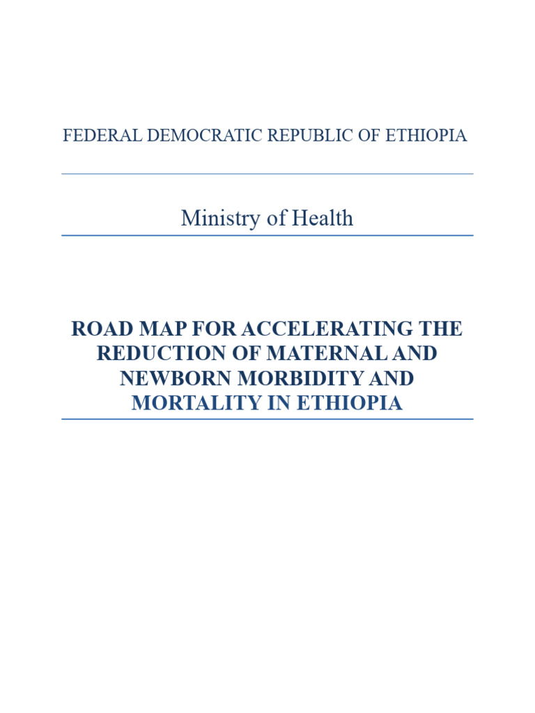 Ethiopia's Maternal and Newborn Health Roadmap | PDF | Maternal Death ...