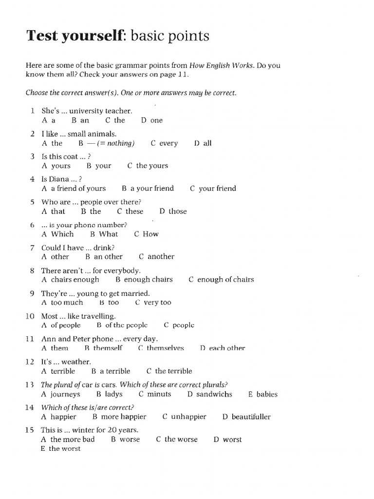 Test Yourself Basic Grammar Points | PDF