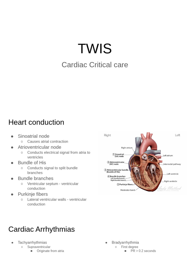 Cardiac Critical Care | PDF | Cardiac Arrest | Cardiovascular Diseases