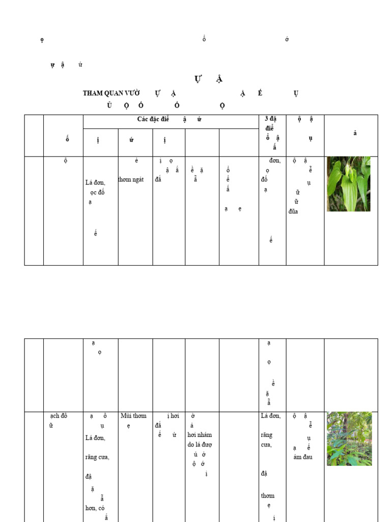 2401620_Ho%C3%A0ng Thanh_T%E1%BB%95 10-A2K79_Thamquan VTV | PDF