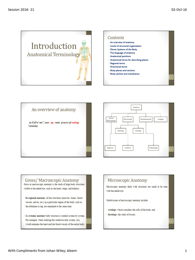 Chapter No. 1 Anatomy Introduction | PDF | Anatomical Terms Of Motion ...