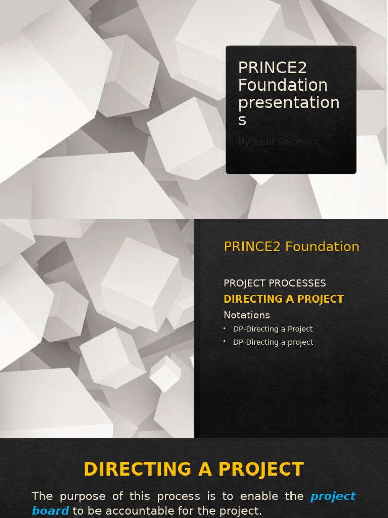 PRINCE 2 Processes Directing A Project | PDF