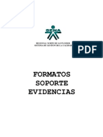 FORMATOS SOPORTES EVIDENCIAS