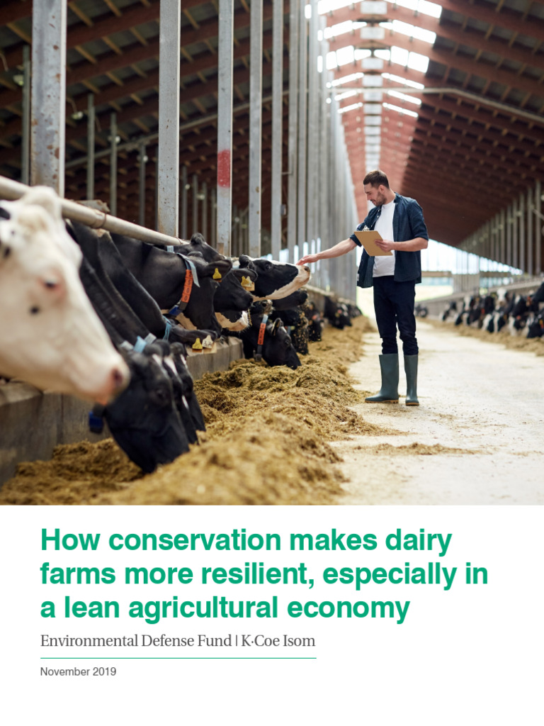 How Conservation Makes Dairy Farms More Resilient | PDF | Agriculture ...