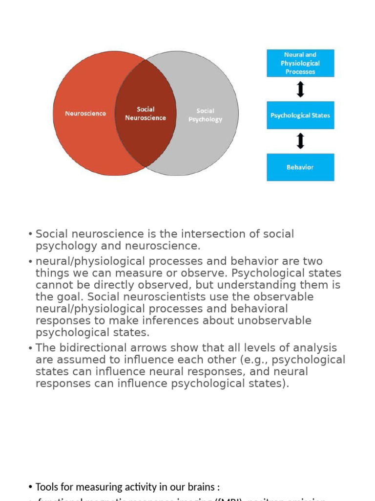 Social Neuroscience: Brain and Behavior Insights | PDF | Functional ...
