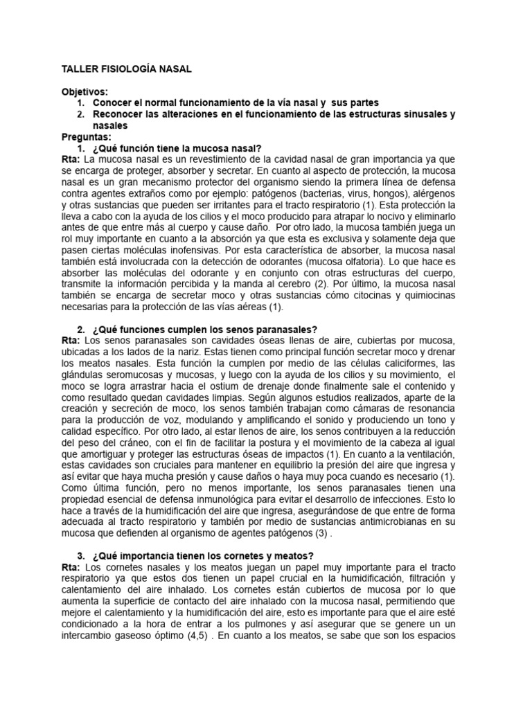 Funciones y Estructura de la Nariz | PDF | Nariz humana | Anatomía