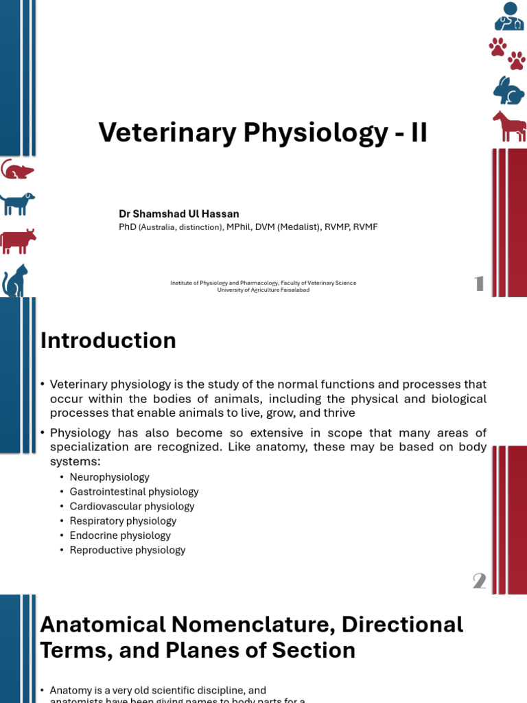 Veterinary Physiology Guide | PDF | Stomach | Gastrointestinal Tract