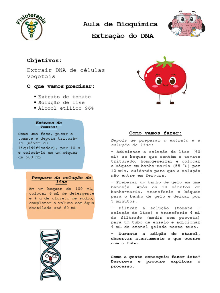 Prática 03 - Extração Do DNA Tomate | PDF, image size:768x1024