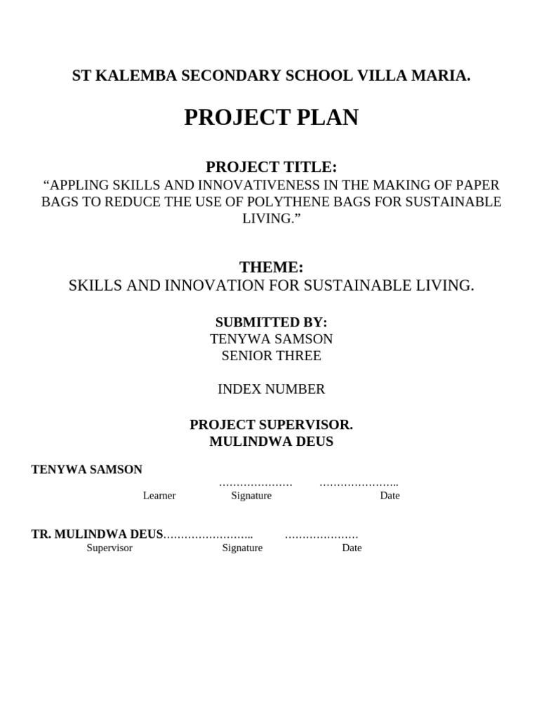 Paper Bags Project for Sustainability | PDF | Sustainability | Paper
