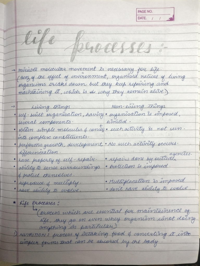 Bio Notes Respiration | PDF