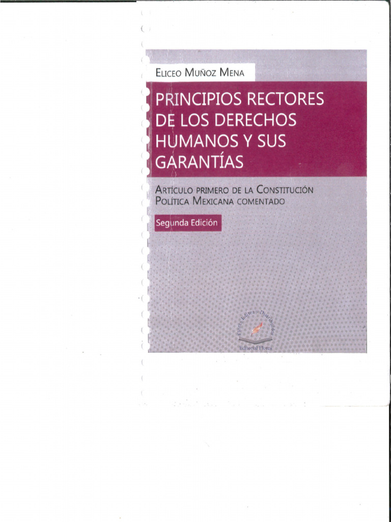 Principios Rectores de Los Derechos Humanos, DR Eliceo Mena | PDF